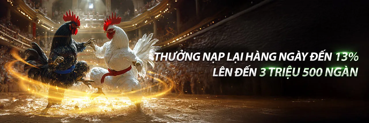 Sân vận động đầy ắp khán giả với các môn thể thao đang diễn ra, logo vnbet nổi bật